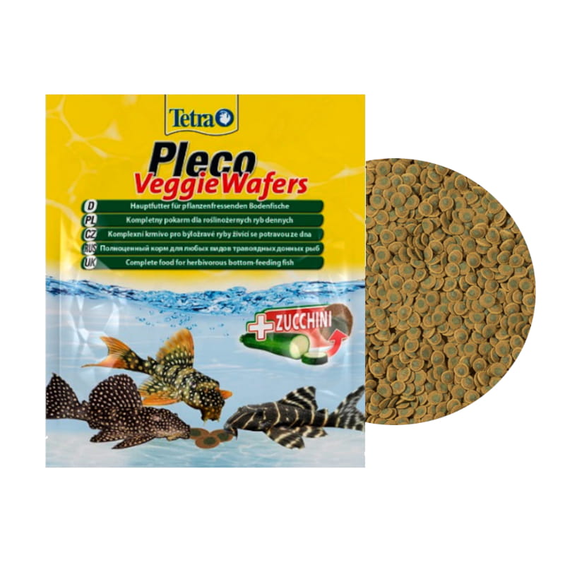 pleco veggie .jpg